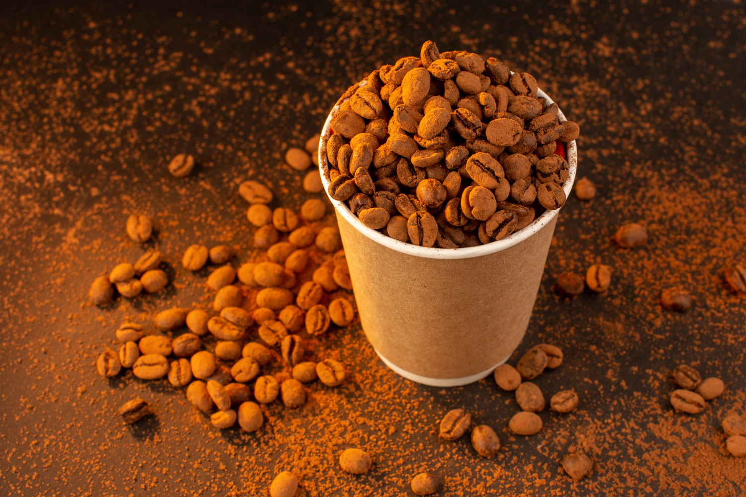 Premium Coffee Beans