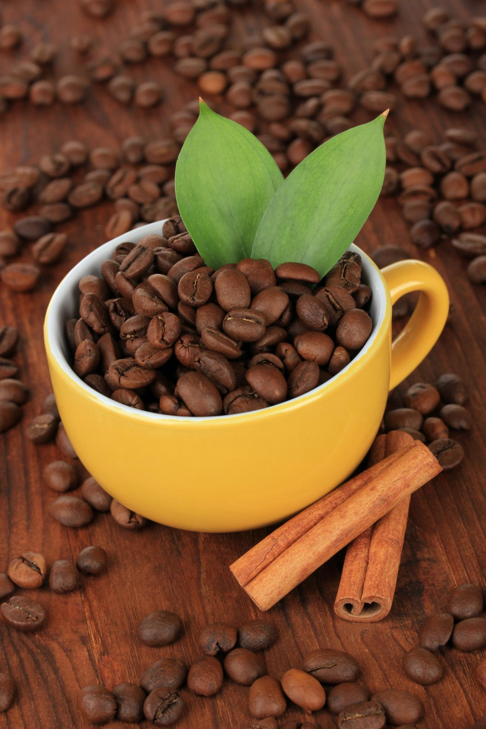 Coffee Beans & Cinnamon